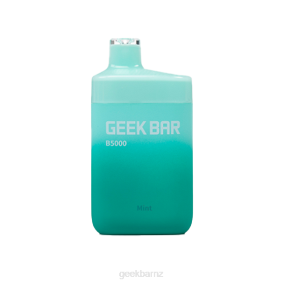 Geek Bar Vape - Geek Bar B5000 Disposable P20832 Mint