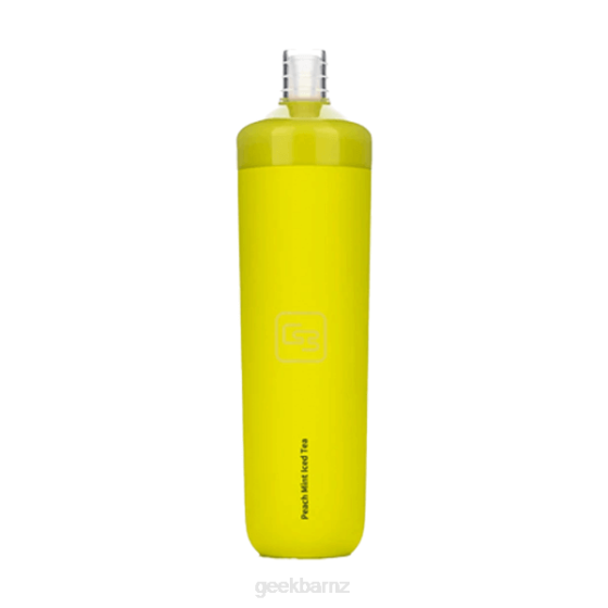 Geek Bar Discount - Geek Bar X6000 TF-Nic Disposable P2088 Peach Mint Iced Tea
