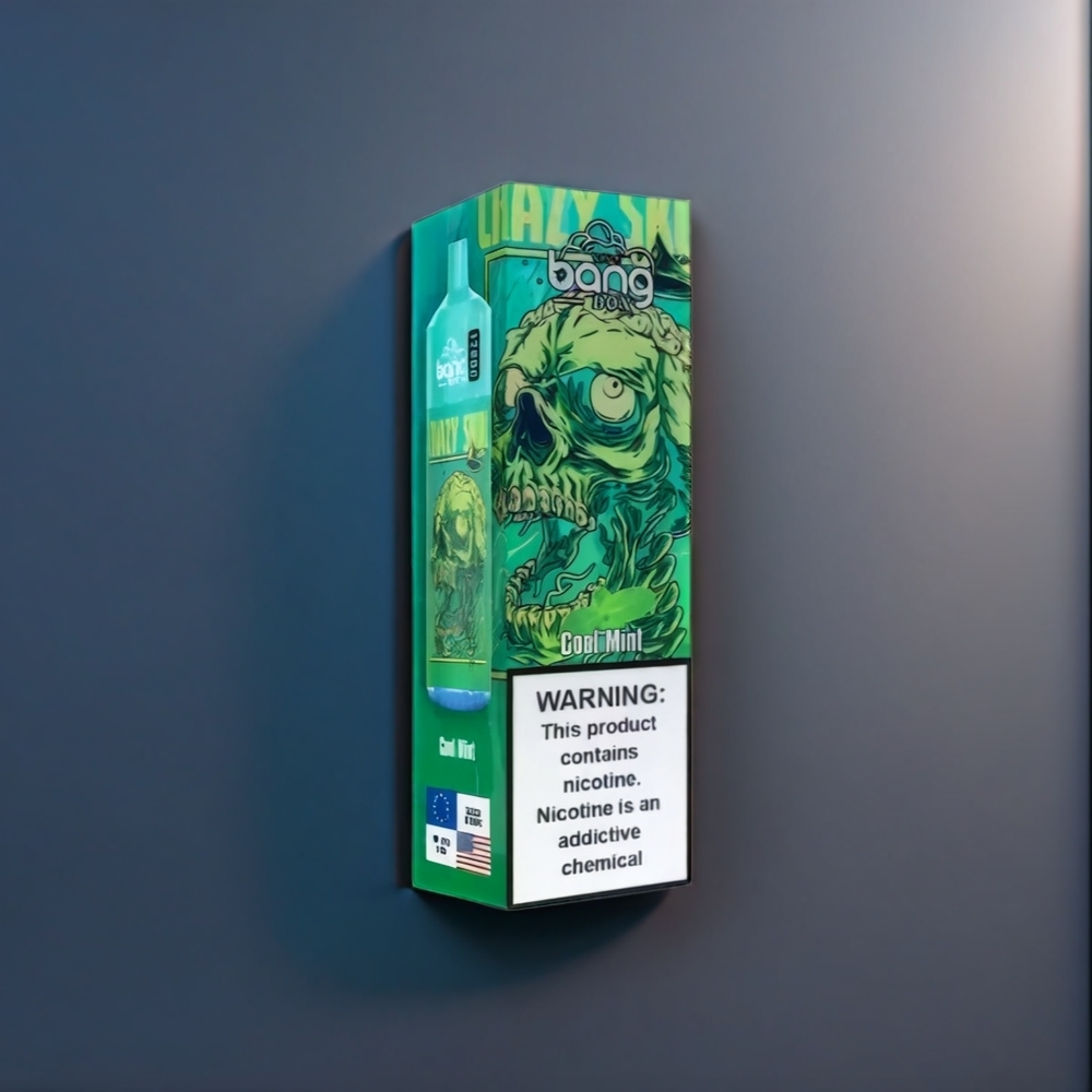 Bang Box New Zealand Wholesale 12000 Puffs Cool Mint Vape