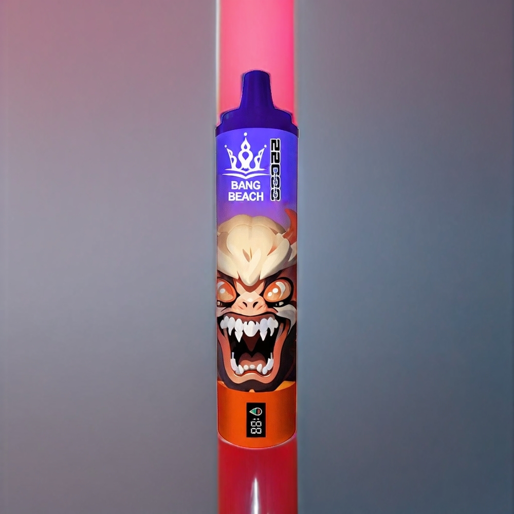 Bang Beach 22000 Puffs 36ml 650mAh 0%-5% Nicotine Watermelon Ice Disposable Vape New Zealand Wholesale