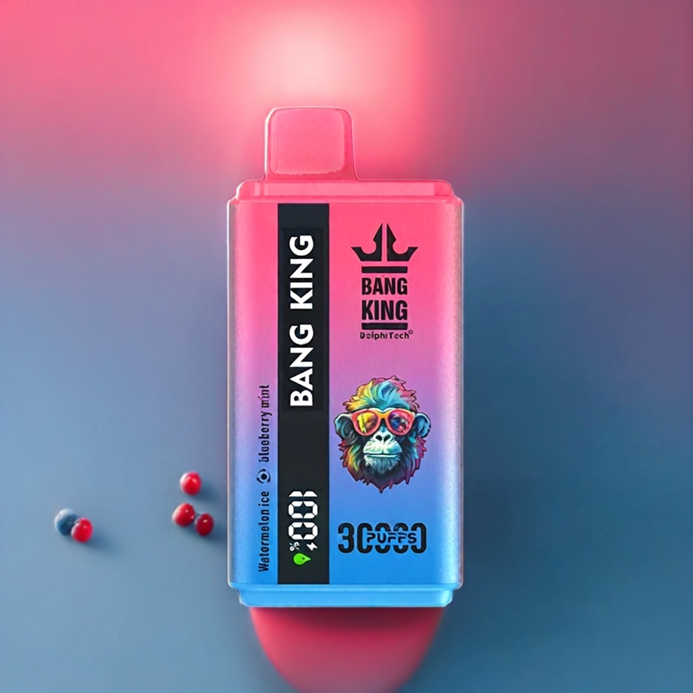 Bang King 30000 Puffs 36ml 550mAh Type-C Disposable Vape Watermelon Ice Blueberry Mint New Zealand Wholesale