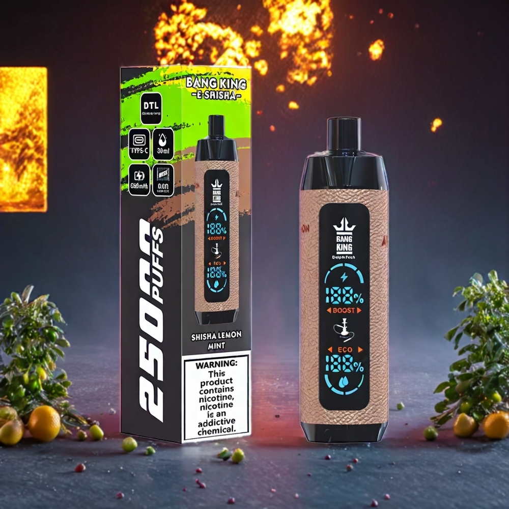 Bang King Shisha 25000 Puffs 30ml 650mAh Type-C Mesh Coil 0.6 Ohm Lemon Mint New Zealand Wholesale