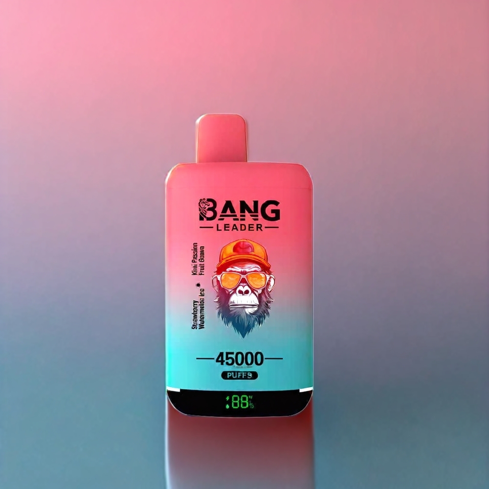 Bang Leader 45000 Puffs Disposable Vape Smart Screen Type-C Dual Flavor Strawberry Watermelon Kiwi Passion Fruit Guava New Zealand Wholesale