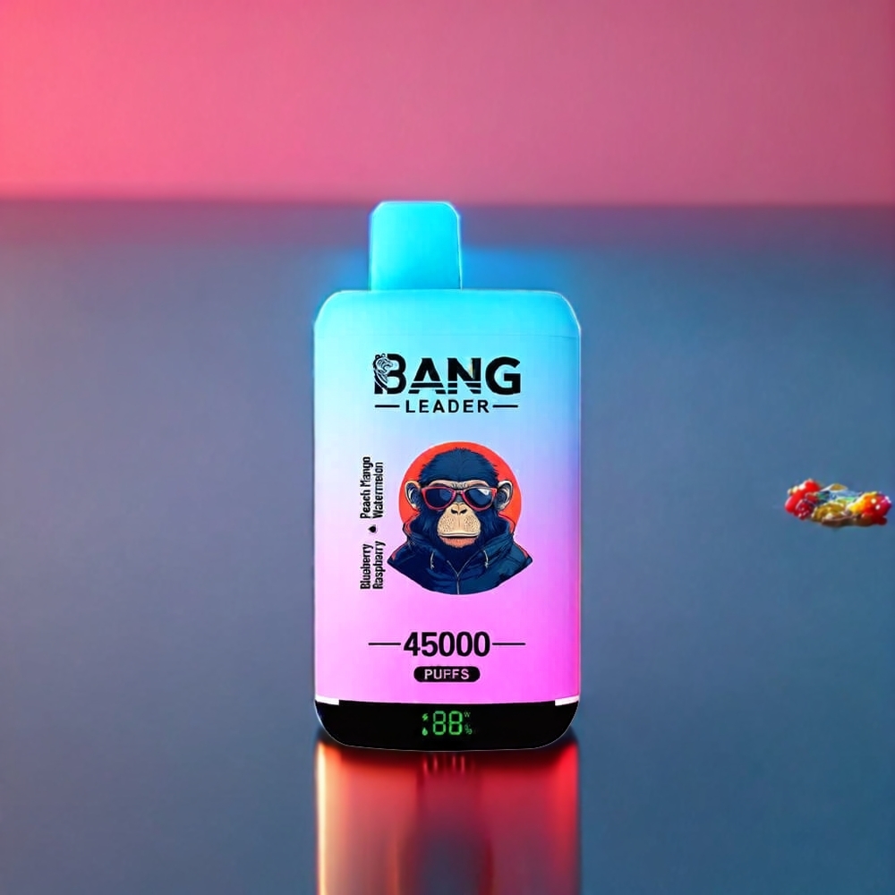 Bang Leader 45000 Puffs New Zealand Wholesale Disposable Vape Blueberry Raspberry Peach Mango Watermelon with Smart Screen & Dual Flavor 2-in-1