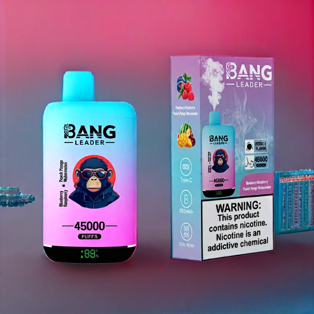 Bang Leader 45000 Puffs New Zealand Wholesale Disposable Vape Blueberry Raspberry Peach Mango Watermelon with Smart Screen & Dual Flavor 2-in-1
