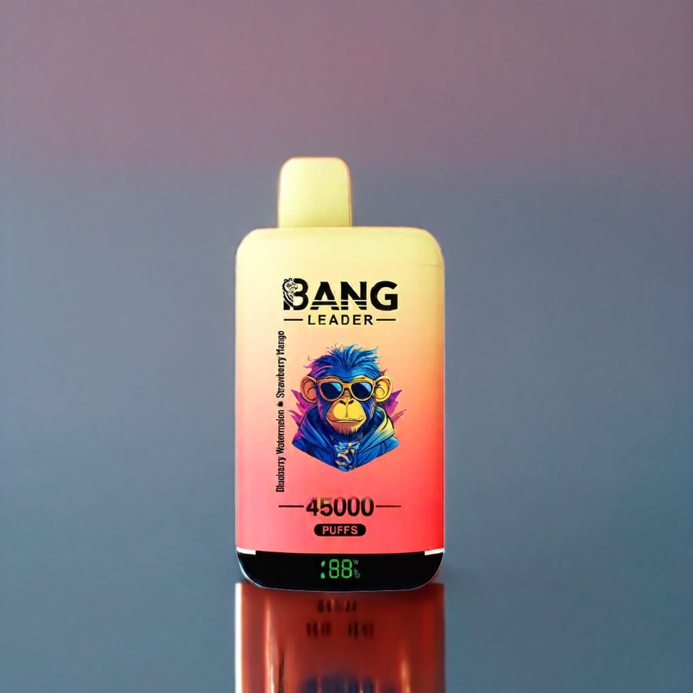 Bang Leader 45000 Puffs New Zealand Wholesale Disposable Vape Smart Screen Type-C Dual Flavor Blueberry Watermelon Strawberry Mango
