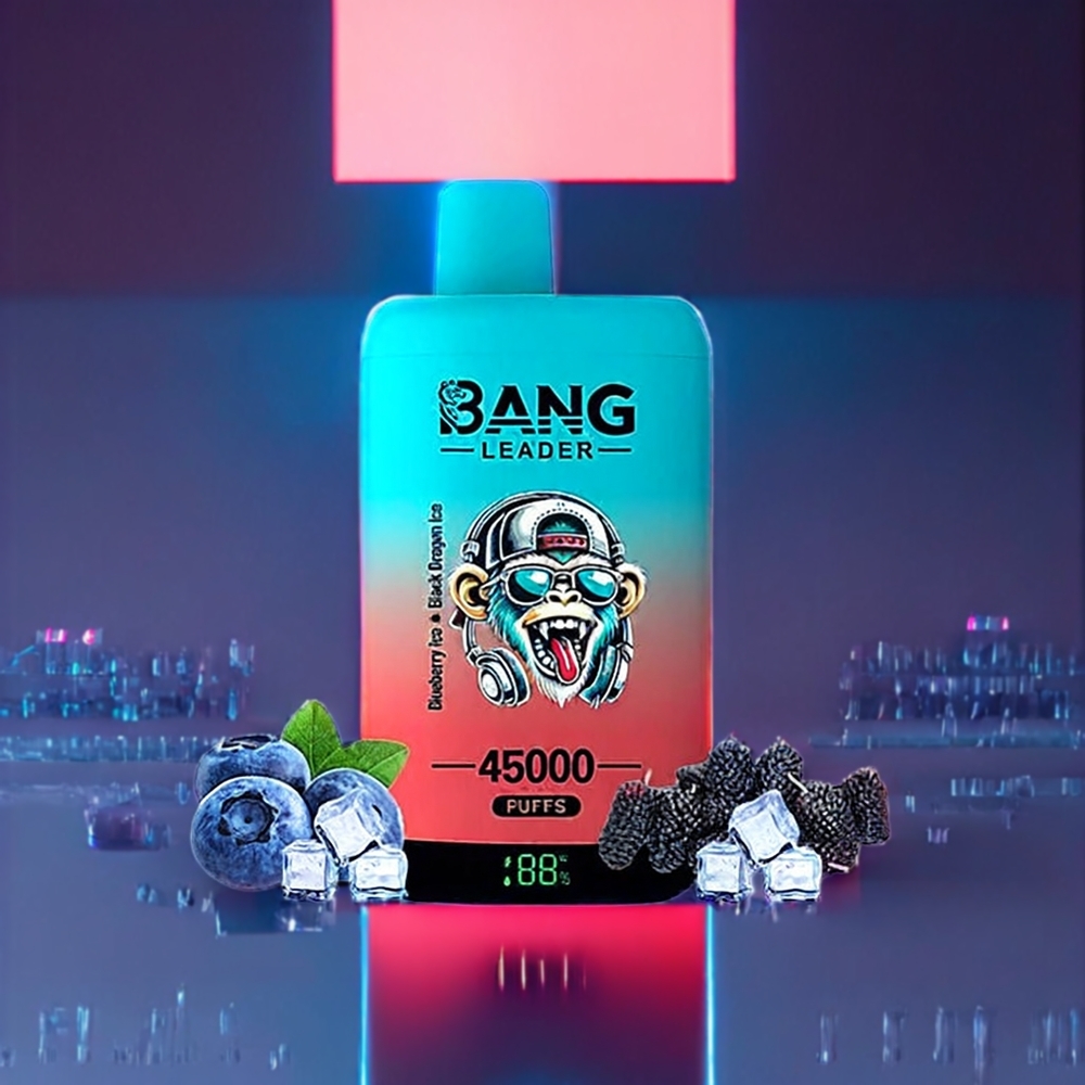 Bang Leader 45000 Puffs New Zealand Wholesale Dual Flavor Disposable Vape Blueberry Ice Black Dragon Ice