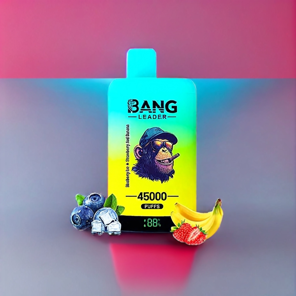 Bang Leader New Zealand Wholesale 45000 Puffs Dual Flavor Disposable Vape Blueberry Ice Strawberry Banana