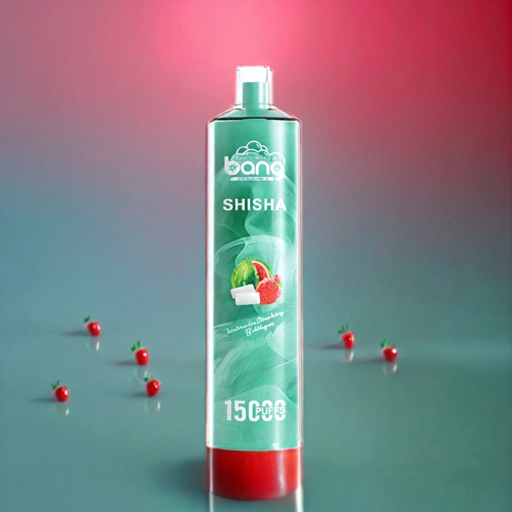Bang Shisha 15000 Puffs 23ml 600mAh Type-C DTL Disposable Vape Watermelon Strawberry Bubblegum New Zealand Wholesale