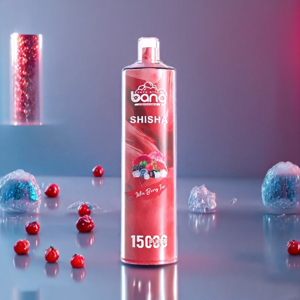 Bang Shisha 15000 Puffs 23ml E-liquid 600mAh Battery Type-C Charging New Zealand Wholesale Mix Berry Ice Disposable Vape