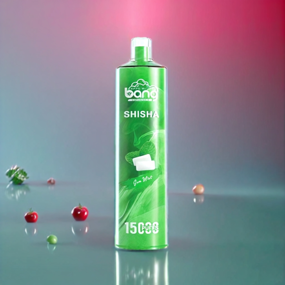 Bang Shisha 15000 Puffs Disposable Vape Gum Mint New Zealand Wholesale - 23ml E-liquid, Type-C Charging, 600mAh Battery, DTL Tech