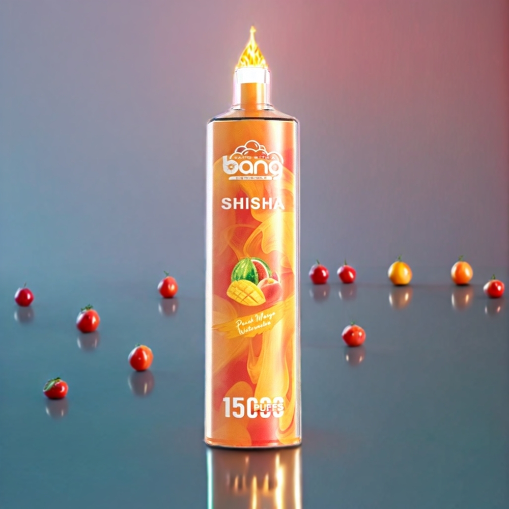 Bang Shisha New Zealand Wholesale 15000 Puffs 23ml 600mAh DTL Disposable Vape Peach Mango Watermelon