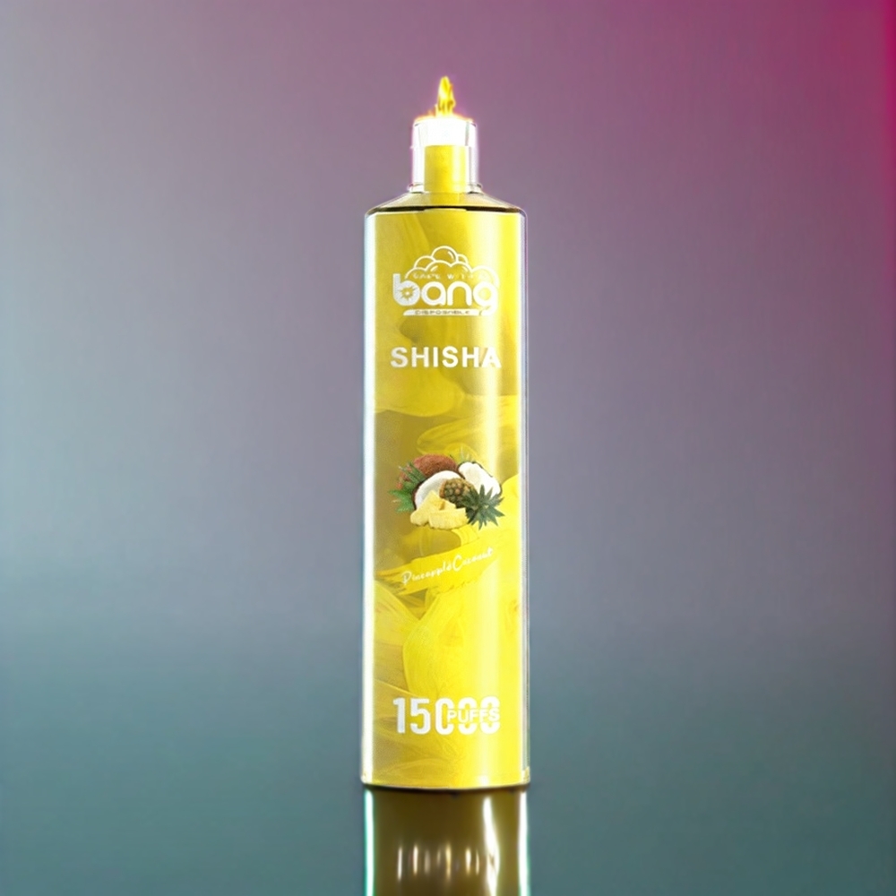 Bang Shisha New Zealand Wholesale 15000 Puffs 23ml 600mAh Type-C Disposable Vape Pineapple Coconut