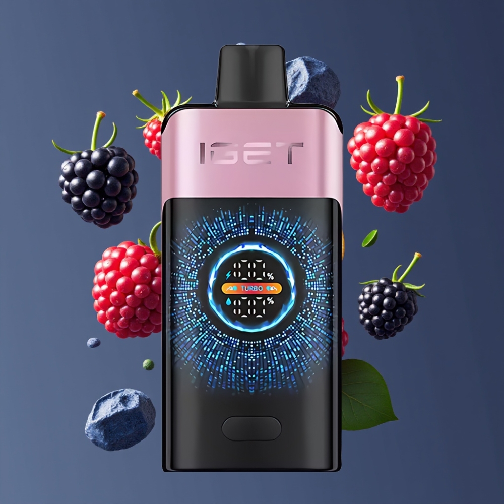 IGET ONE 12000 Puffs New Zealand Wholesale Disposable Vape Blackberry Ice with 2700mAh Battery & Dual Mesh Coil