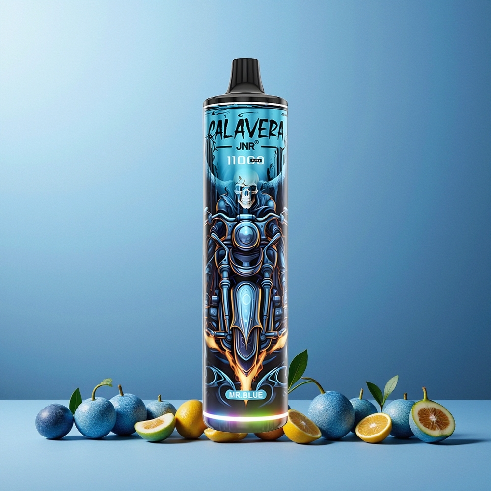 JNR Calavera 11000 Puffs 21ml 850mAh Type-C 1.0ohm Mesh Disposable Vape Mr Blue New Zealand Wholesale