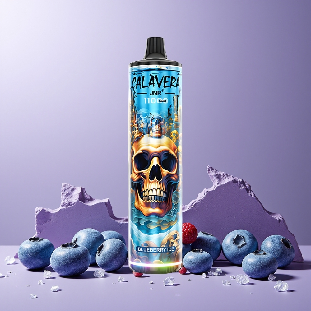 JNR Calavera 11000 Puffs Disposable Vape Blueberry Ice New Zealand Wholesale with Type-C 850mAh 21ml 1.0ohm Mesh Coil 0-5% Nicotine