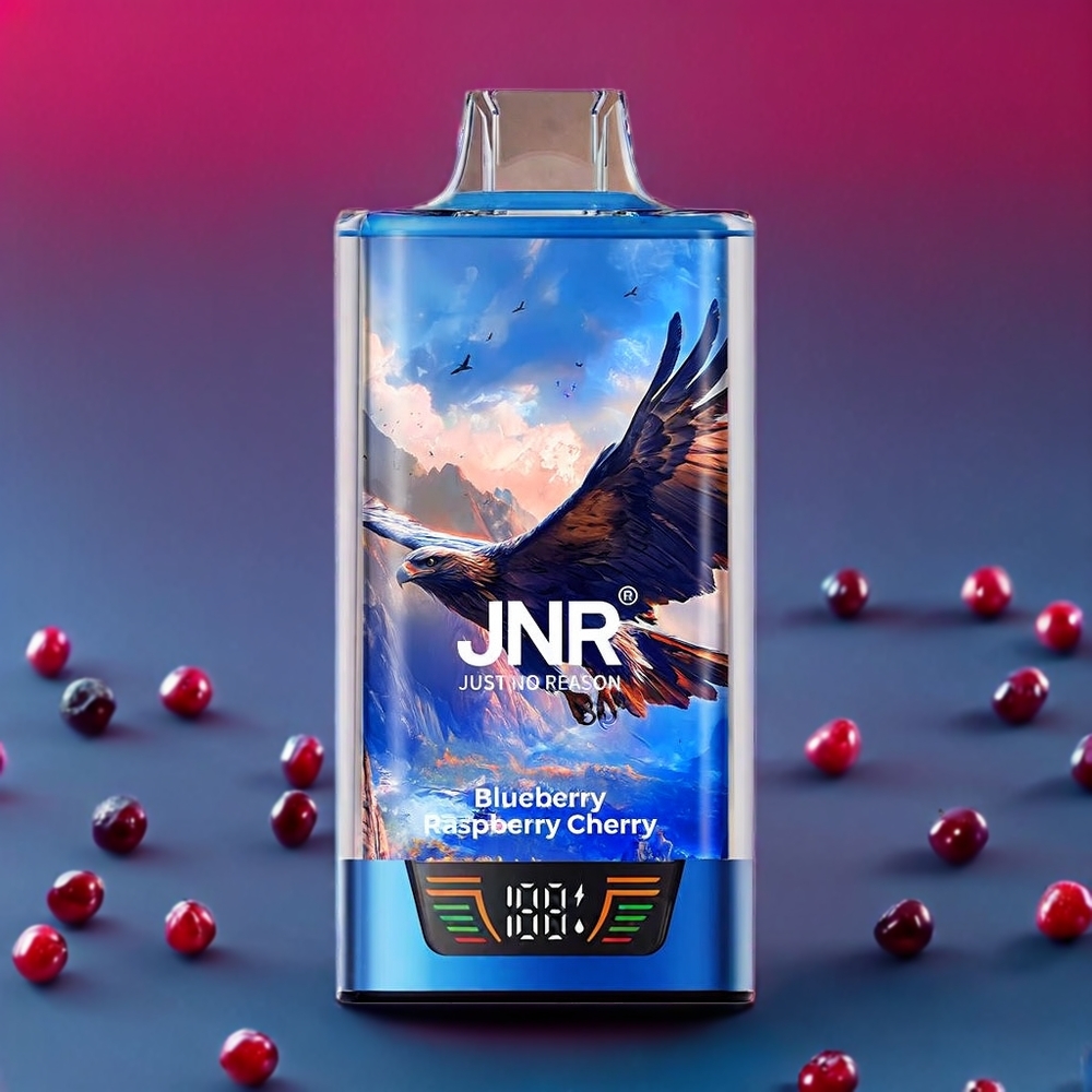 JNR Falcon Pro New Zealand Wholesale 28000 Puffs Blueberry Raspberry Cherry 30ml E-liquid Dual Mesh Coil Type-C Charging