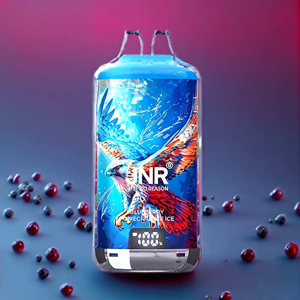 JNR Falcon X⁺ 28000 Puffs Blueberry Pomegranate Ice New Zealand Wholesale with Visible E-Liquid Levels, 950mAh Battery, Type-C Charging