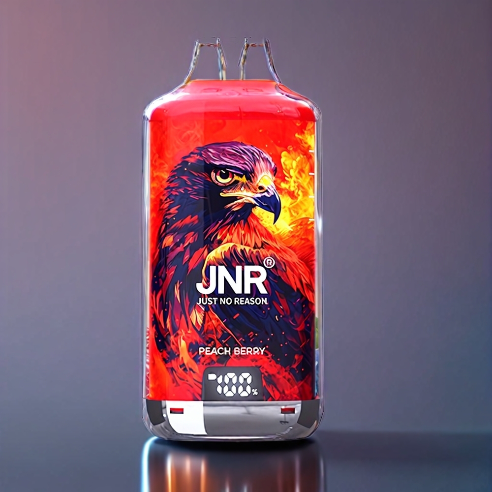 JNR Falcon X⁺ 28000 Puffs Peach Berry New Zealand Wholesale with 950mAh Battery & 2 10ml E-liquid