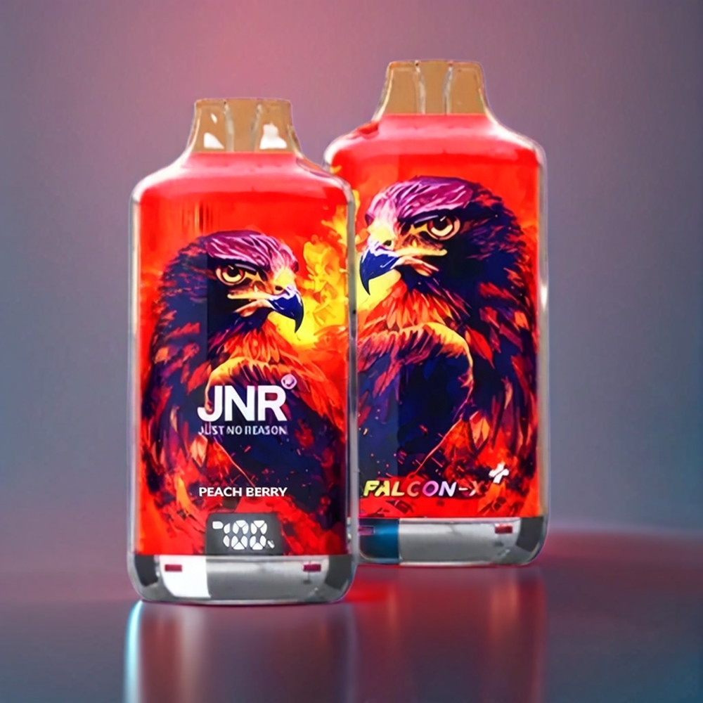 JNR Falcon X⁺ 28000 Puffs Peach Berry New Zealand Wholesale with 950mAh Battery & 2 10ml E-liquid
