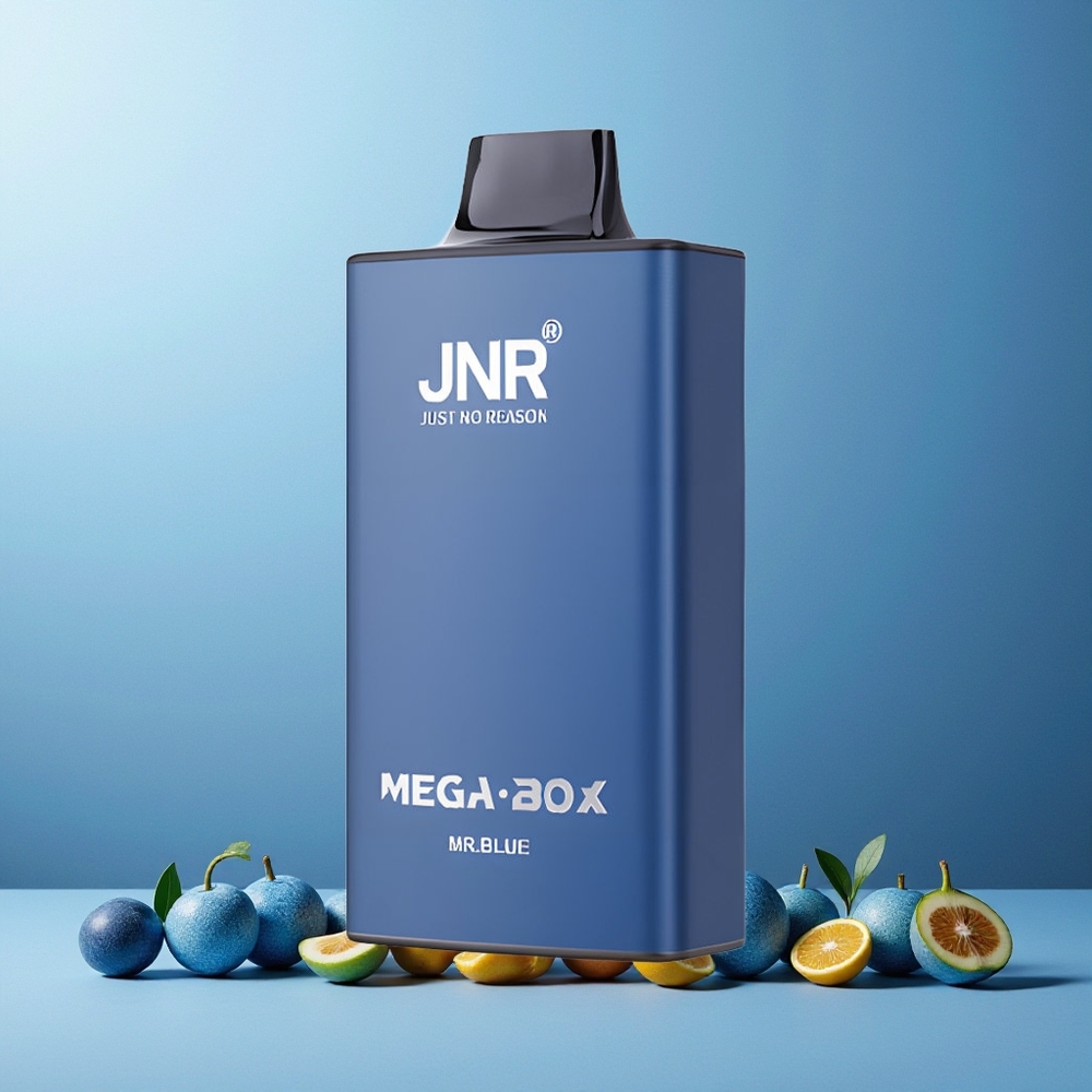 JNR Mega Box 25000 Puffs 30ml 850mAh Dual Mesh Disposable Vape Mr Blue New Zealand Wholesale