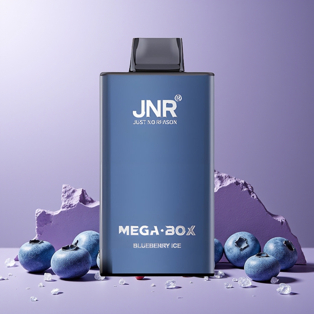 JNR Mega Box 25000 Puffs 30ml 850mAh Dual Mesh New Zealand Wholesale Disposable Vape Blueberry Ice