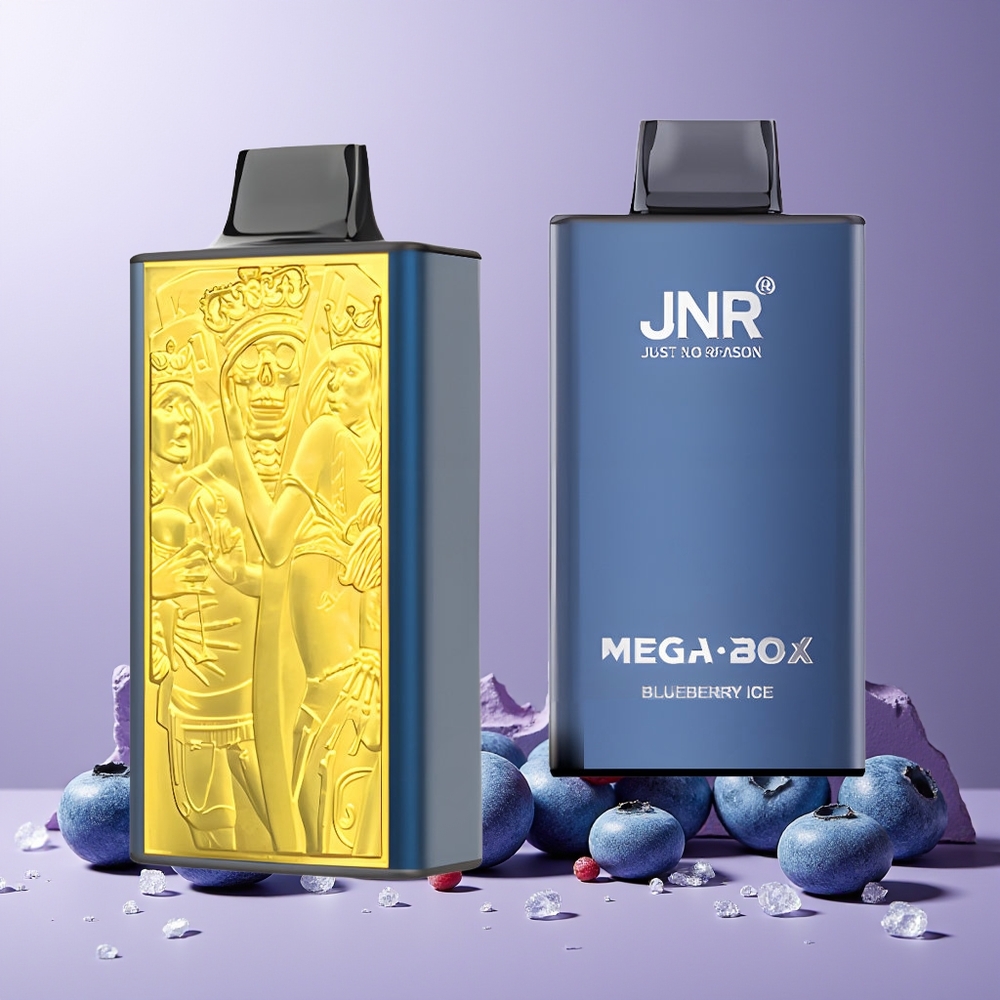 JNR Mega Box 25000 Puffs 30ml 850mAh Dual Mesh New Zealand Wholesale Disposable Vape Blueberry Ice