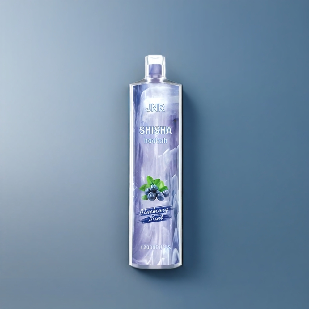 Jnr Shisha Hookah New Zealand Wholesale 12000 Puffs Blueberry Mint Vape