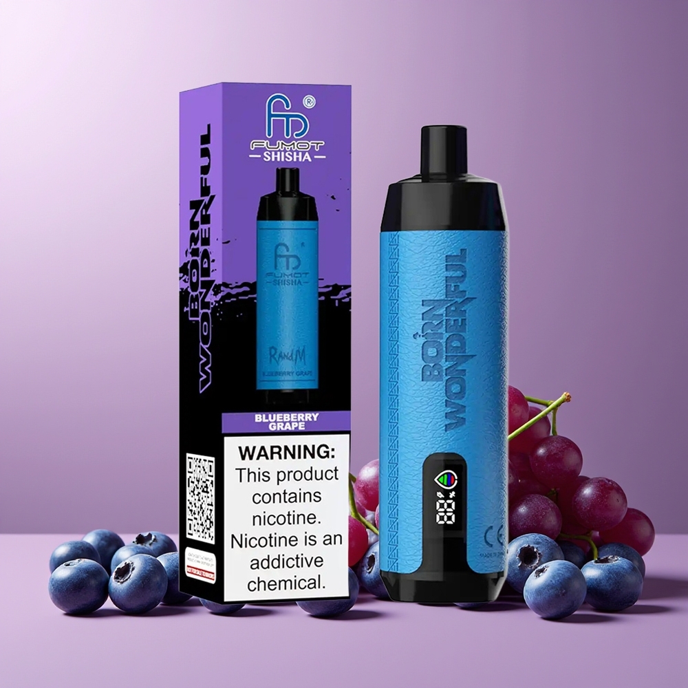 RandM Fumot Shisha 10000 Puffs Disposable Vape Blueberry Grape New Zealand Wholesale with LED Indicator 18ml Prefilled 850mAh Type-C