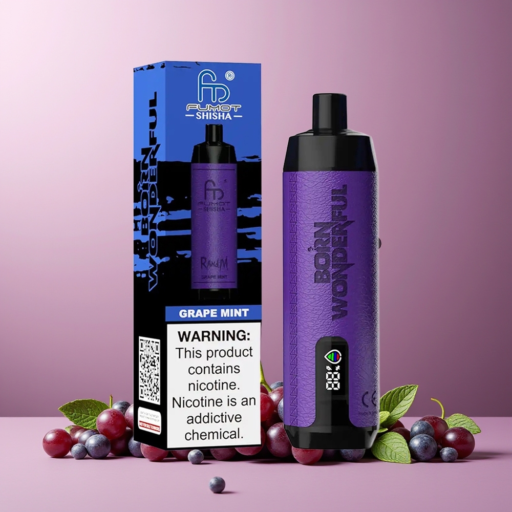 RandM Fumot Shisha 10000 Puffs Disposable Vape Grape Mint New Zealand Wholesale with LED Indicator 18ml Prefilled Type-C Port 850mAh Battery