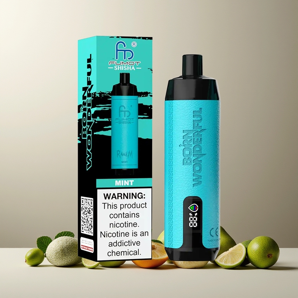 RandM Fumot Shisha 10000 Puffs Disposable Vape Mint New Zealand Wholesale LED 18ml 850mAh Type-C 0.5% Nic
