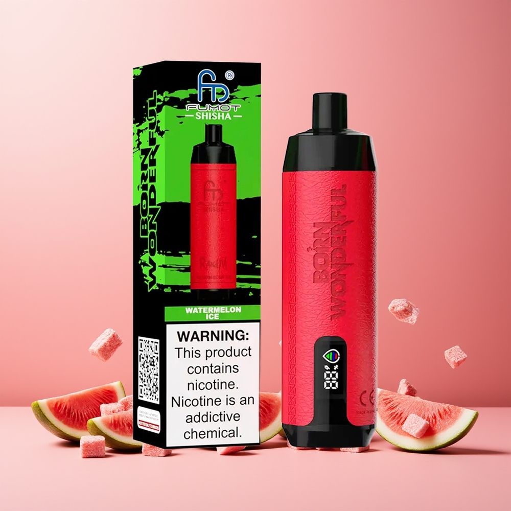 RandM Fumot Shisha 10000 Puffs New Zealand Wholesale 18ml Watermelon Ice Disposable Vape with LED 850mAh Type-C