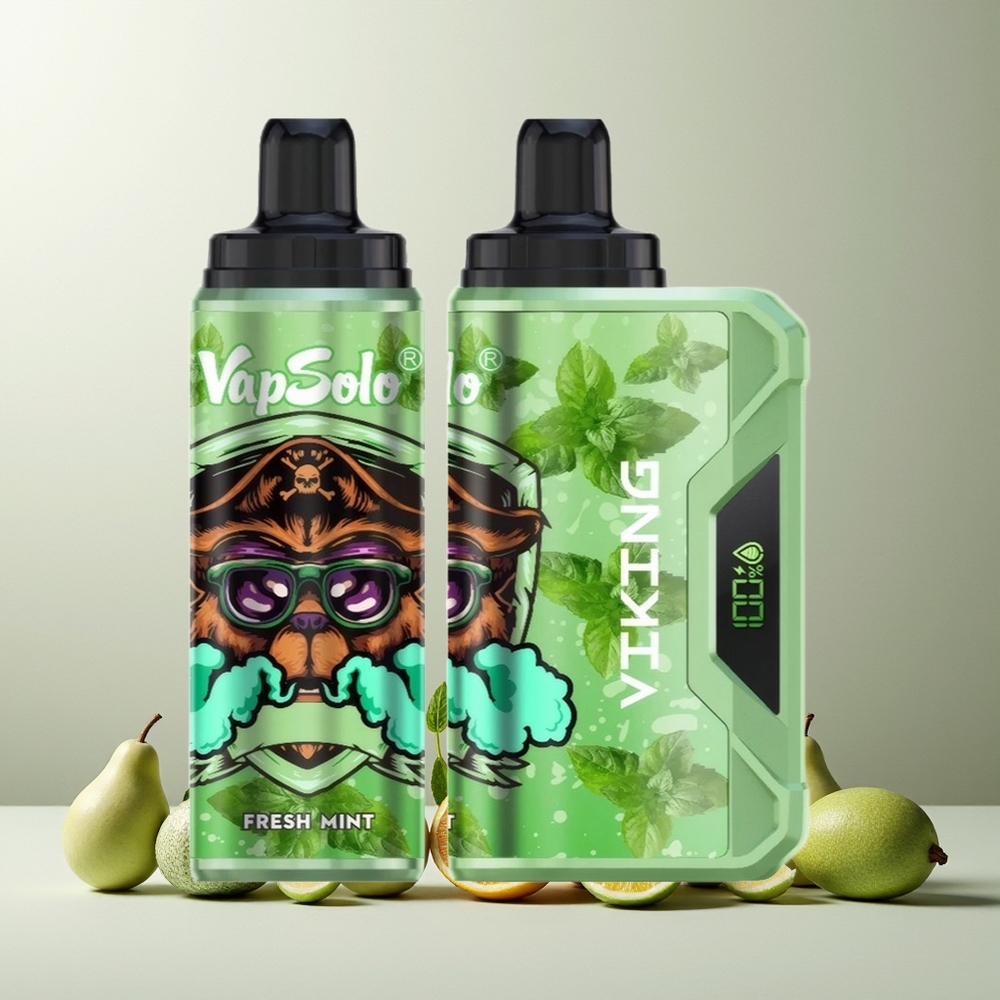 VapSolo VIKING 12000 Puffs 22ml Type-C LED Display Disposable Vape Fresh Mint New Zealand Wholesale
