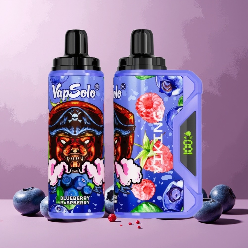 VapSolo VIKING 12000 Puffs 22ml Type-C Led Display Disposable Vape Blueberry Raspberry New Zealand Wholesale